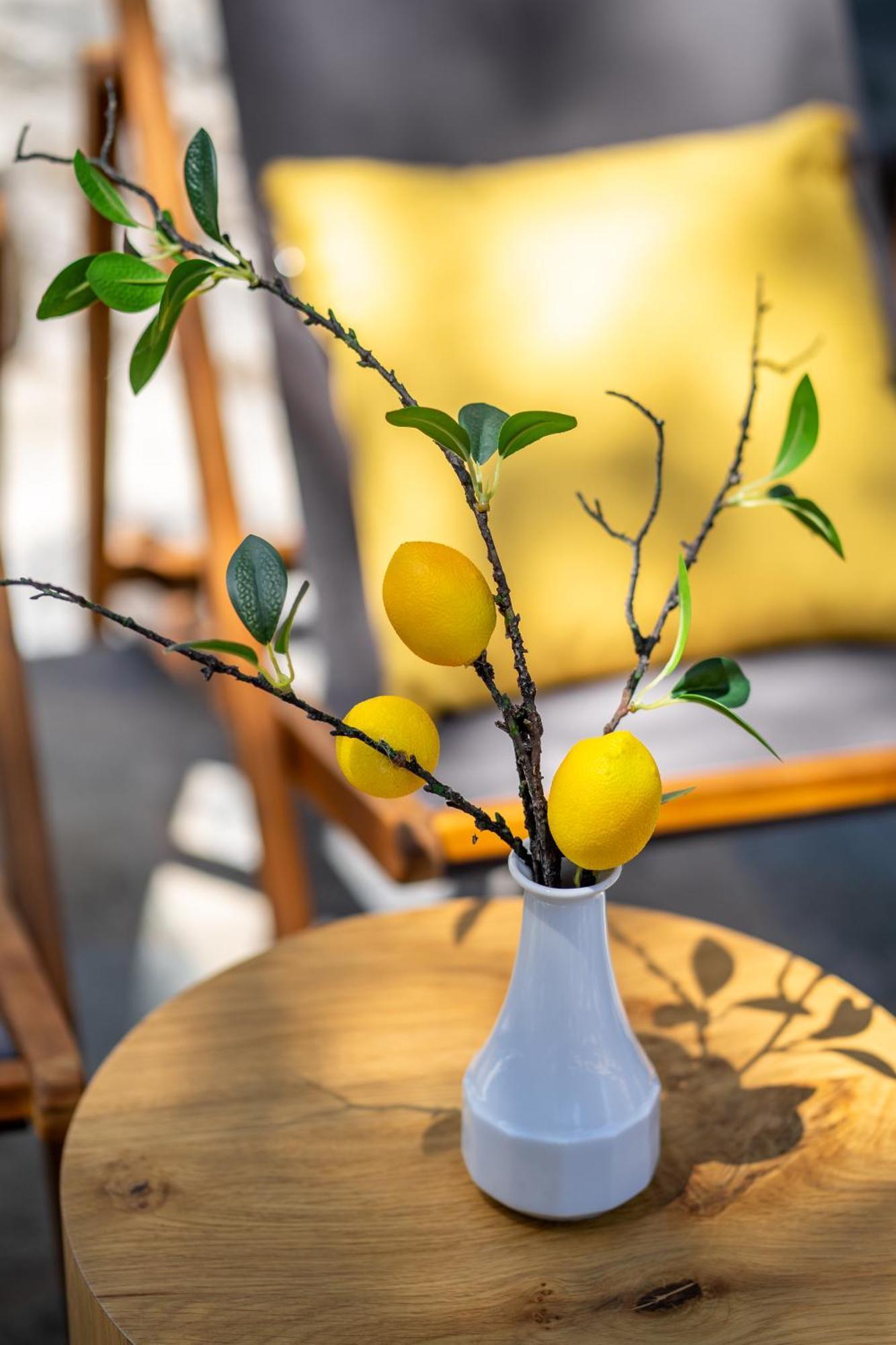 Lemoni House