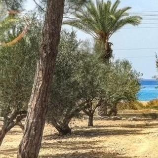 Apartment Lemoni House Sitia (Crete)